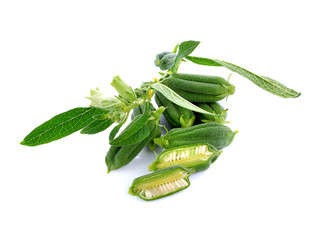 fresh sesame pods isolated on white background