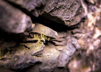 Crystal formations found on the beach