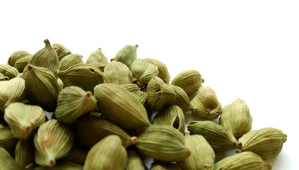 Cardamom
