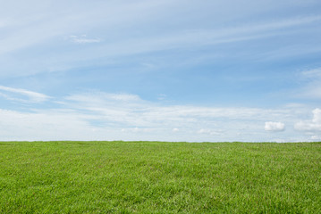 Obraz premium grass field with blue sky