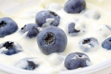 Ripe blueberries in yogurt