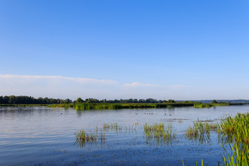 Calm water landscape
