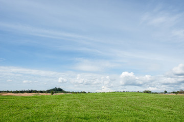 grass field with blue sky