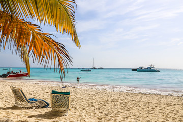 Saona Tropical Beach Dominican Republic