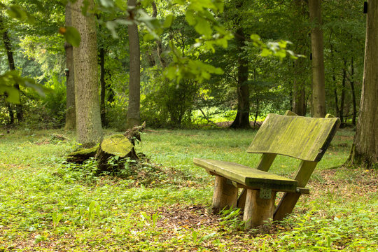 Einsame Holzbank im Waldfriedhof