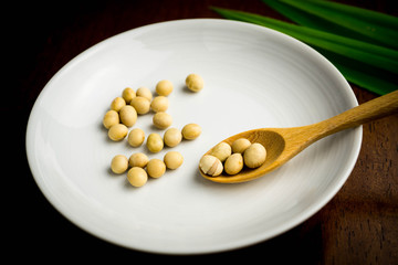 Fototapeta na wymiar a spoon of dried soy beans in white round plate on table, dark background