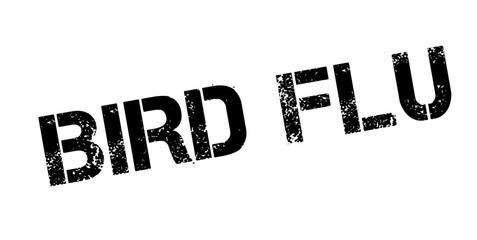 Bird Flu rubber stamp. Grunge design with dust scratches. Effects can be easily removed for a clean, crisp look. Color is easily changed.