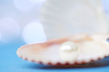 Fototapeta na wymiar pearls on the blue background