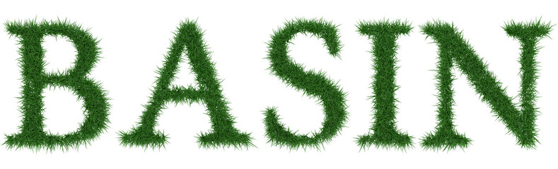 Basin - 3D rendering fresh Grass letters isolated on whhite background.
