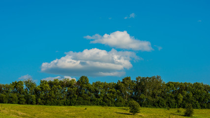 Obraz premium Clouds and meadow with forest.