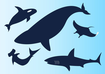 Fototapeta premium ocean fish icons