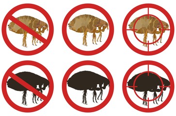 Stop flea signs. Set of insect pest control signs. Vector illustration.