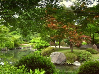 Obraz premium Jardín en Kyoto