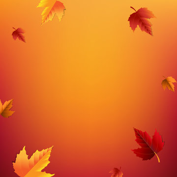 Autumn Poster With Leaves