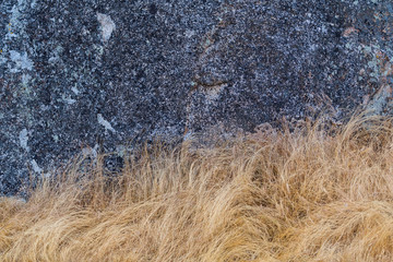 Brown Grass Underneath Gray Stone