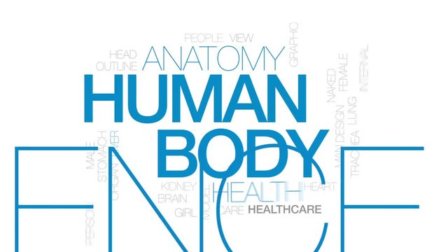 Human body animated word cloud, text design animation. Kinetic typography.