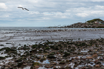 Stonehaven beach in Scotlan