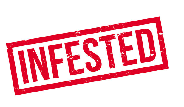 Infested rubber stamp. Grunge design with dust scratches. Effects can be easily removed for a clean, crisp look. Color is easily changed.