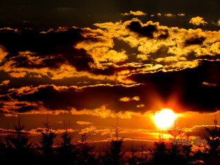 couch&eacute; de soleil