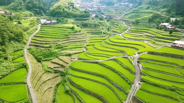 棚田で空撮