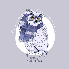 Christmas card. Great Horned Owl in a glasses and in a knitted scarf. Vector illustration.