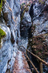 Pokljuka gorge near Bled - galleries that leads in the most narrow part of gorge.