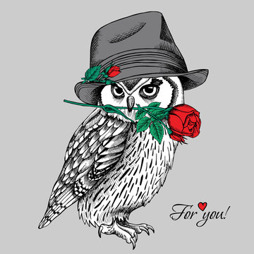 Owl in Elegant gray hat with red rose. Vector illustration.