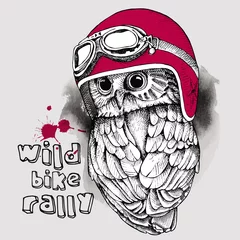 Foto op Aluminium Image of an owl in a retro motorcyclist helmet. Vector illustration.  © Afishka