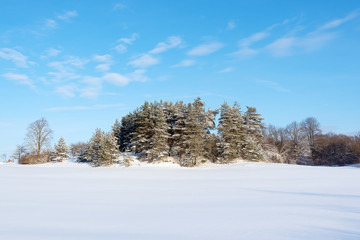 White land in sunny winter day.