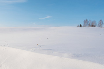 Fototapeta na wymiar White land in sunny winter day.