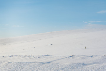 Fototapeta na wymiar White land in sunny winter day.