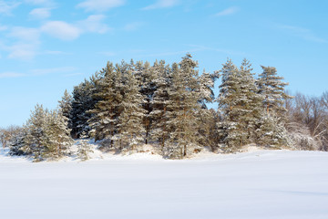 White land in sunny winter day.