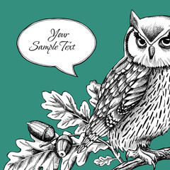 Owl, Card with frame for text, Dark blue