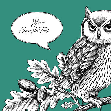 Owl, Card with frame for text, Dark blue