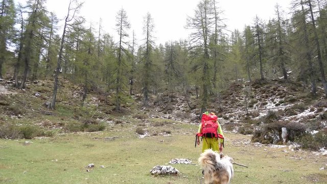 Passeggiata in montagna