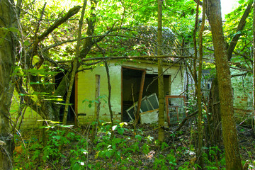 Destroyed houses in which people lived in a dead radioactive zone. Consequences of the Chernobyl...