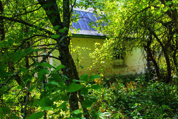 Destroyed houses in which people lived in a dead radioactive zone. Consequences of the Chernobyl...