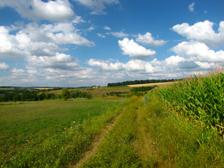 Fototapeta na wymiar The Summer rural landscape amidst beautiful clouds