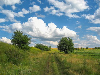 Fototapeta na wymiar The Summer rural landscape amidst beautiful clouds