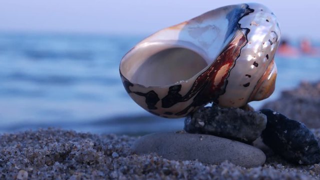 Balancing a sea shell on the rocks on a sandy beach against the backdrop of the sea and sky