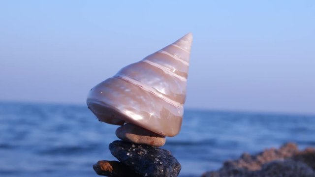 Balancing a sea shell on the rocks on a sandy beach against the backdrop of the sea and sky