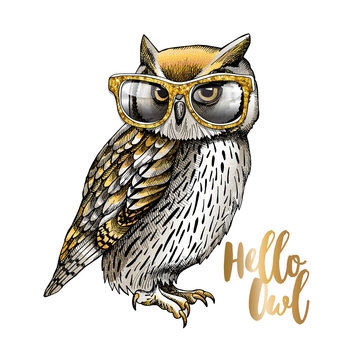 Gold and Silver owl in a glitter glasses on a white background. Vector illustration.