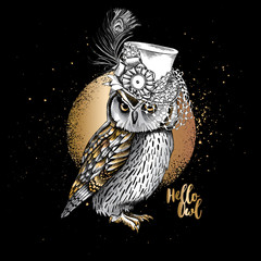 Gold and silver Owl in a Hat with feather at night. Vector illustration.