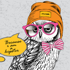 Owl portrait in a Hipster Hat and with glasses. Vector illustration.