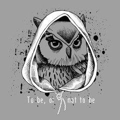 Owl portrait in a hood on gray background. Vector illustration.
