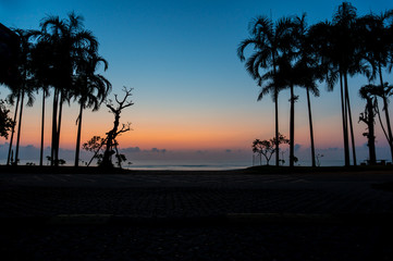 Sunset with silhouette coconut trees