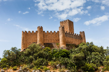 Fototapeta na wymiar Castle of Almourol, in Almourol city, Portugal