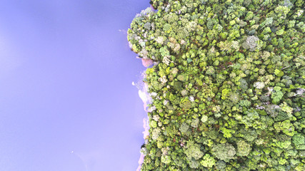 A separation between land and water as viewed from above.