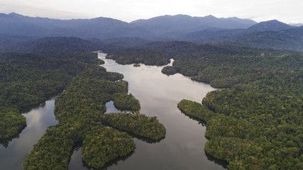 An aerial view of beautiful rain forest.