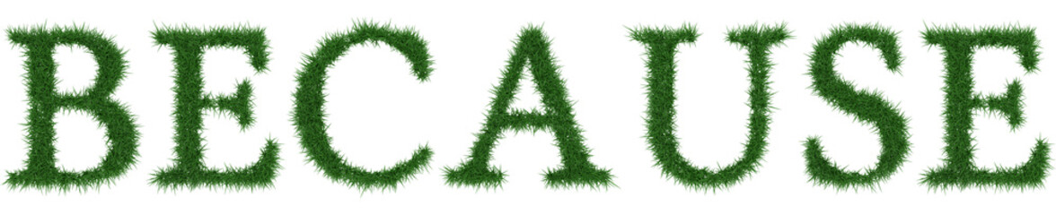 Because - 3D rendering fresh Grass letters isolated on whhite background.